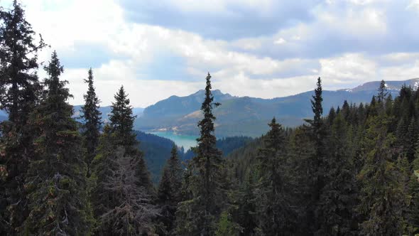 Mountain lake with turquoise water and green trees. Mountains, forest and lake. alt