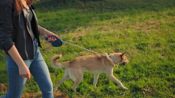 A Young 20 Years Old Female Leading Her Dog for a Walk in the Park on a Leash. alt