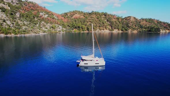Catamaran Yacht at Sea Surrounded By Mountains and Forest alt