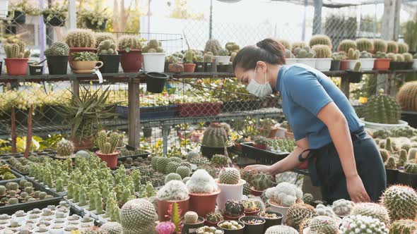 A masked asian woman examines a table of cacti in a nursery store greenhouse shop. alt