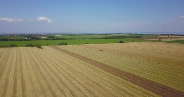 Flight Over Large Fields With A Working Combine In The Summer
