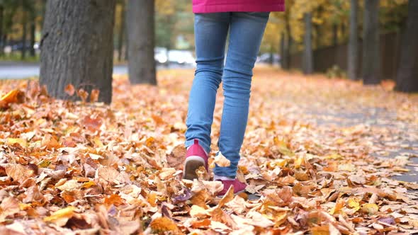 Back View Little Girl Walking with Rainbow Umbrella Autumn Fallen Golden Orange Maple Leaves in Park alt