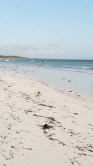 Beach on the Coast of Zanzibar Island Tanzania alt