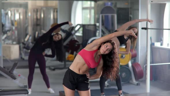 A Group of Athletic Women Warm Up and Stretch in the Gym. Concept of Bodybuilding, Workout, Sport.