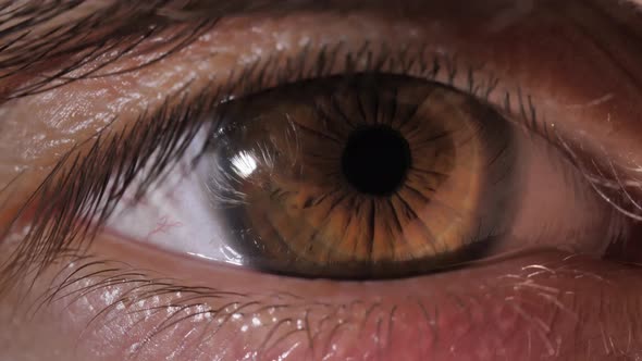 Eye of a Young Man alt