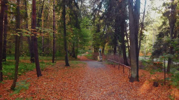 The Beauty of an Autumn Park in St alt