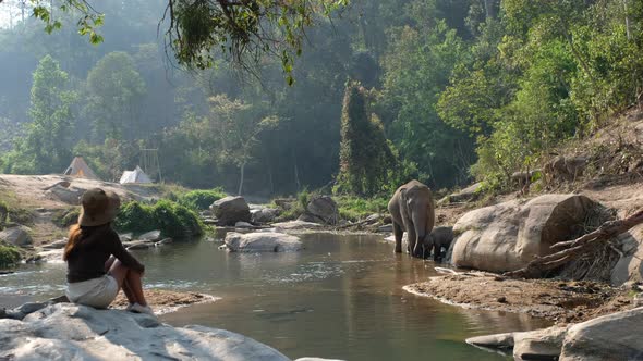 Rear view of a female traveler looking at the mother and baby elephants by the river in the forest