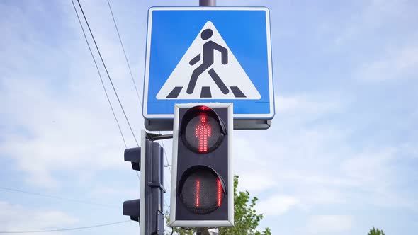 Red Light Traffic Light For Pedestrian Through The Carriageway 1.