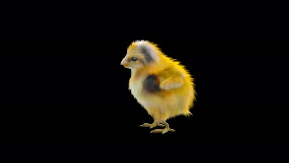 25 Baby Chicks Dancing 4K alt