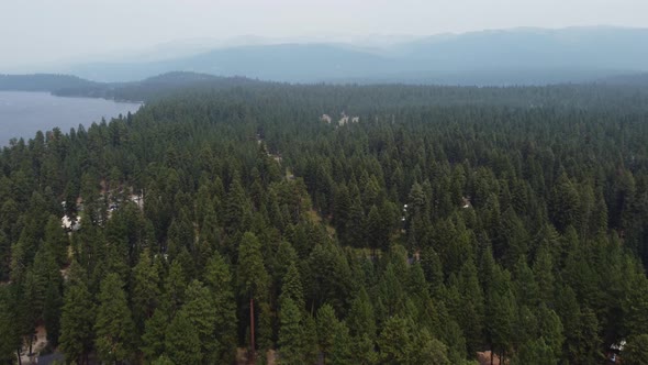 Drone crane shot revealing cars driving down a road surrounded by tall pine trees near a lake in Ida alt