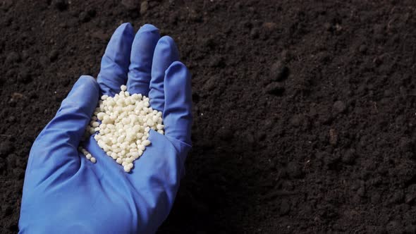 Mineral Fertilizer in Hand alt
