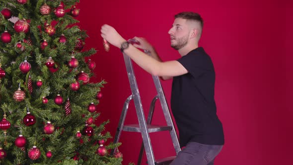 Young Gay Decorating Xmas Tree with Help of Boyfriend, Christmas Holiday Vanity