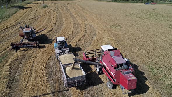 Pouring Oats into Tractor Trailer alt