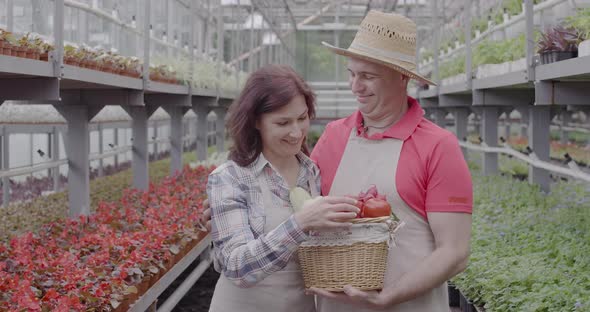 Couple of Farmers Posing with Vegetable Basket in Greenhouse. Portrait of Man and Woman Hugging and alt