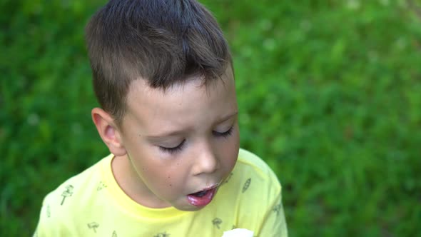 The boy eats delicious ice cream in the park among the big green trees in the background alt