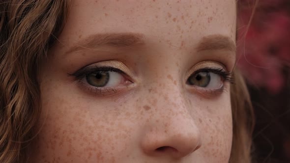 Closeup Portrait of a Little Girl's Face with Red Hair and Freckles alt