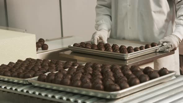 Chocolate truffles sorted onto trays at candy factory