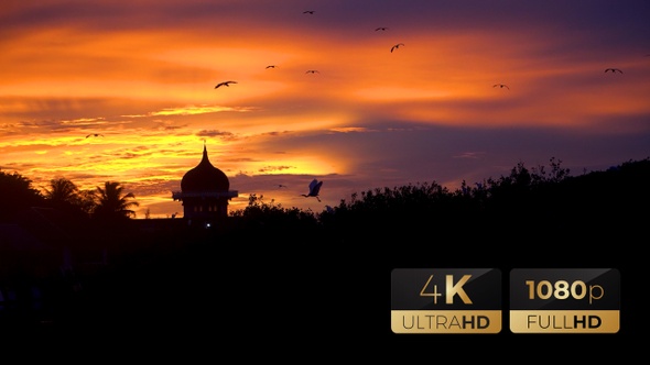 CS - Sunset Silhouette of Mosque and Bird 03