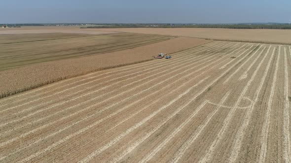 Combine Harvester in the Field Pours Grain of Oats Into the Truck Body View From Height alt