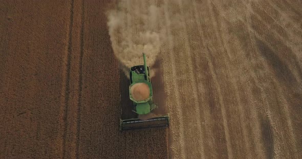 Green Harvester Harvesting Wheat, Top View With Landing