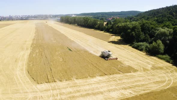 Aerial Drone Shot  a Combine Harvester Works in a Field in a Rural Area on a Sunny Day