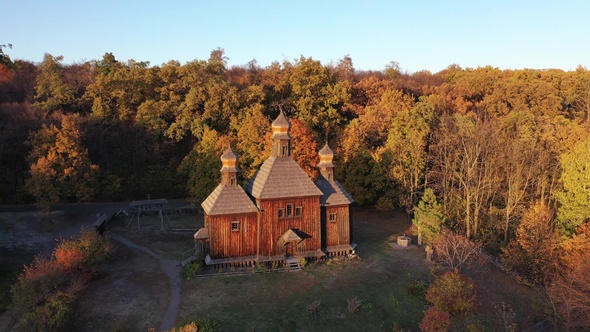 Aerial view of colorful forest on a sunny day in autumn. Mixed colors. alt