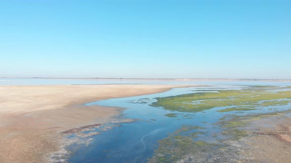 Sea Estuary. Flight Over Water. Birds Fly Over the Water Surface. Flora and Fauna of the Estuary