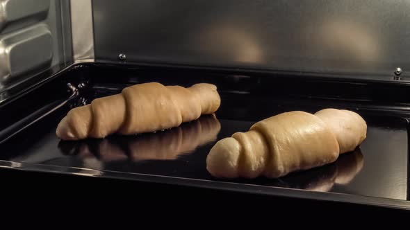 Timelapse  Two Homemade Croissants Baking and Rising in Electric Oven at Home