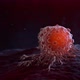 Migrating cancer cells - VideoHive Item for Sale