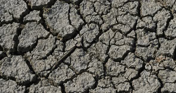 Dryness, southern france, occitanie, France alt