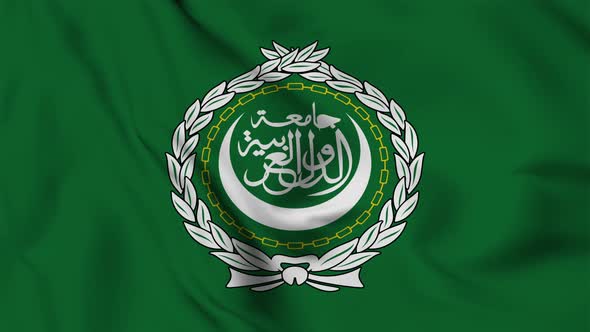 The Arab League flag seamless closeup waving