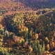 Beautiful Autumn Forest in Europe Aerial View - VideoHive Item for Sale