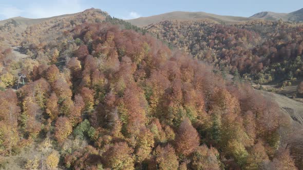 Flying over beautiful mountains in Bakuriani. Aerial view of Autumnal forest. Georgia alt