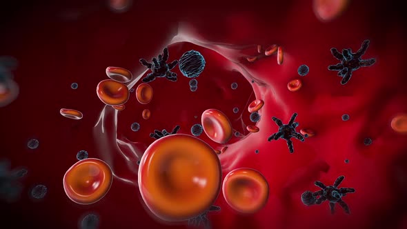 Blood Cells With Virus Background