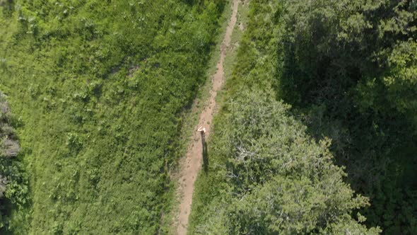 Aerial of Young Woman Running on a Forest Trail at Sunset alt