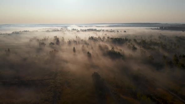 Epic aerial view of sunrise fog covering field with trees. alt