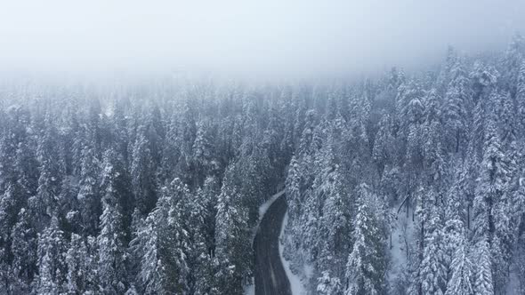 Cinematic Aerial Snowfall Over Road in Dense Snow Covered Pine Trees Forest alt