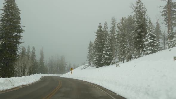 Snow and Fog in Wintry Forest Driving Auto Road Trip in Winter Utah USA alt