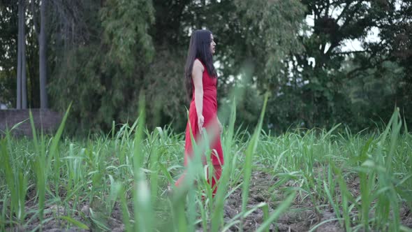 Indian Girl in Green Field