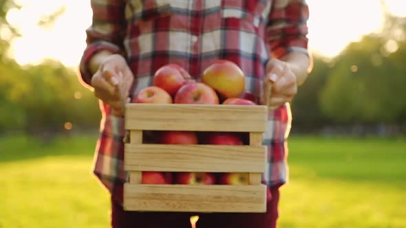 Woman dressed in casual clothes is holding a wooden box in her hands