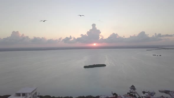 Cancun Beach Mexico Sunset Birds Drone 