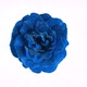 Blue Rose with Dew on White Background - VideoHive Item for Sale