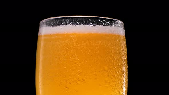 Fresh Beer in a Glass on a Black Background