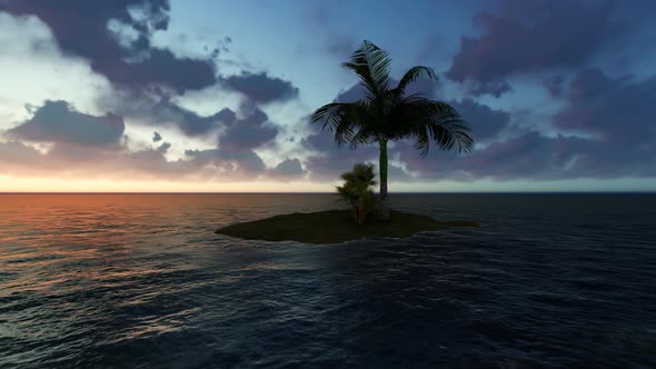 Sunset Palm Island