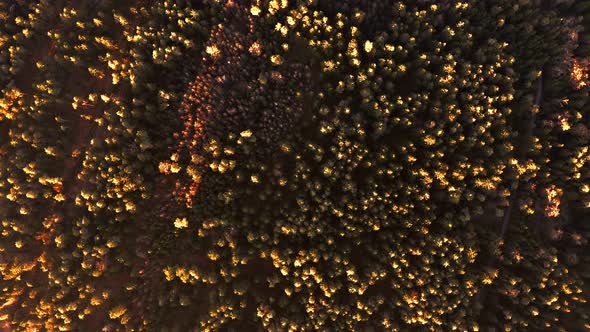 Aerial High Altitude View Over Alpine Forest Durring Sunset in Autumn alt
