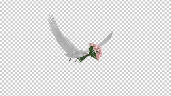 White Dove with Pink Rose Bouquet - Flying Loop - Angle View