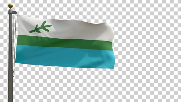 Labrador Flag (Canada) on Flagpole with Alpha Channel - 4K alt