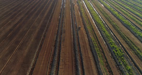 Peat Production in Harvesting Field Aerial View at Sunset alt
