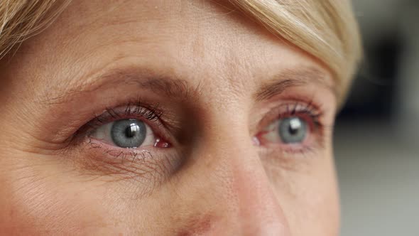 A Portrait of a Middleaged Woman Looks Into the Distance alt