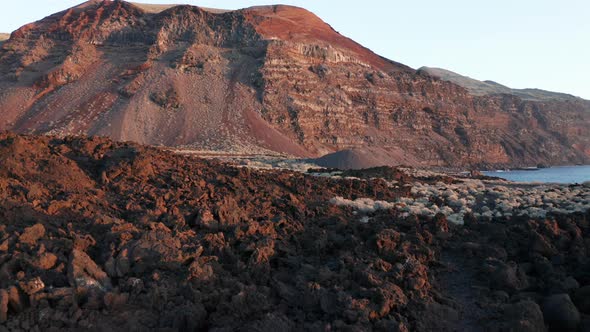 Aerial dolly over brown volcanic lava overgrown with white bushes